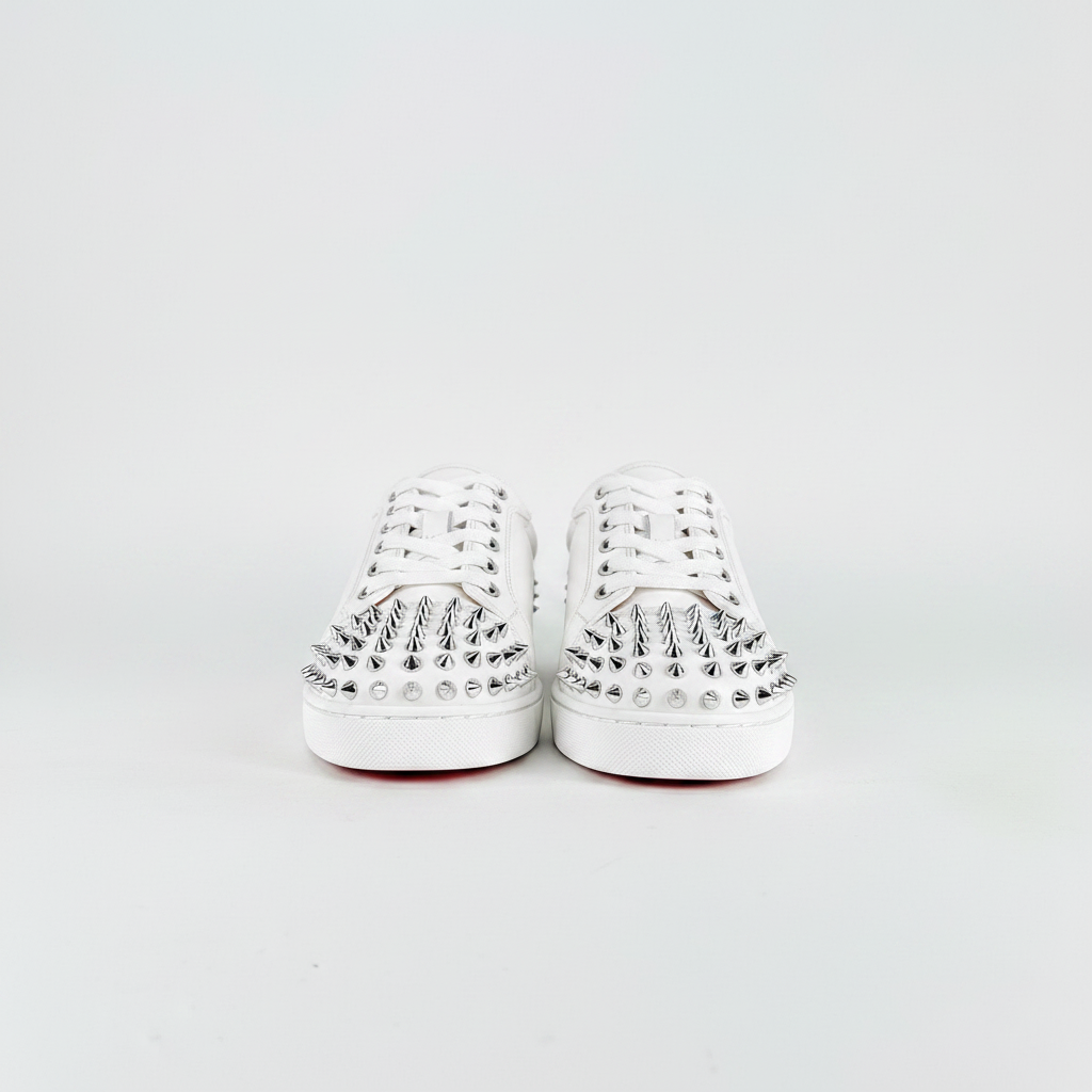 Louis vuitton shoes