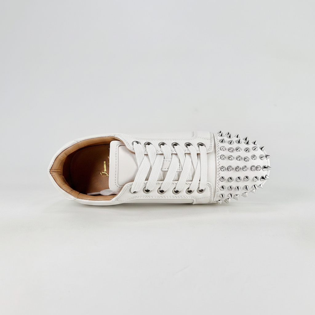 Louis vuitton shoes